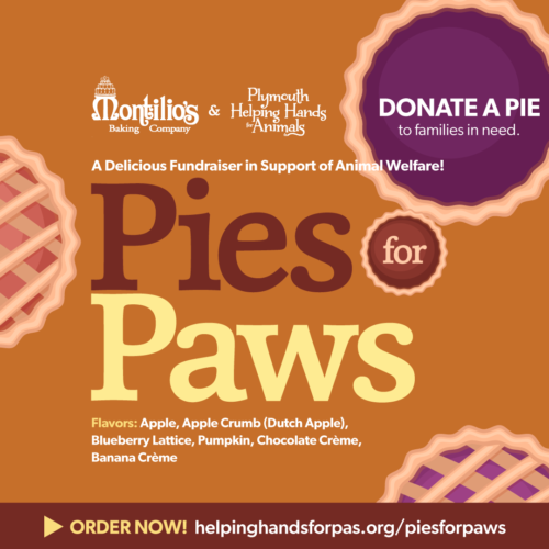 Pies for Paws