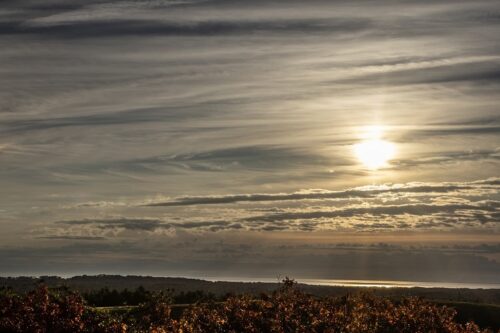 Firefly Point Sunrise over Cape Cod Bay